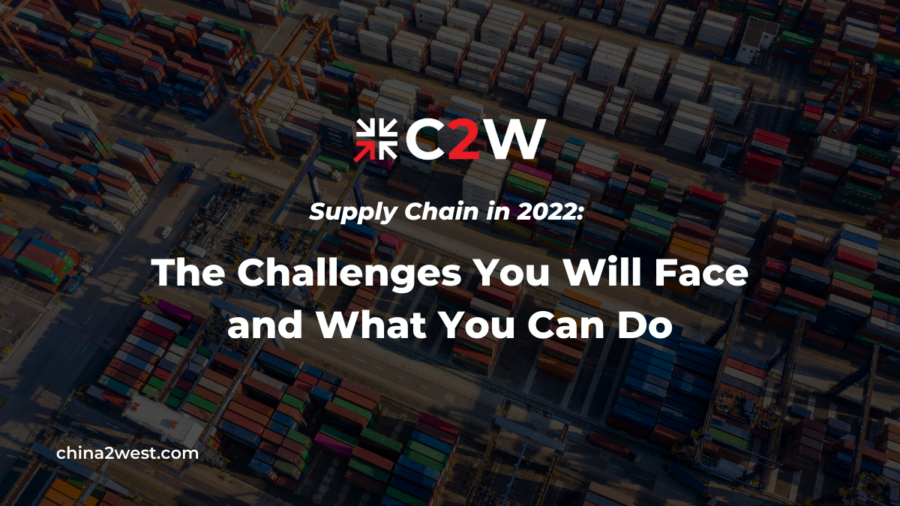 Supply Chain in 2022: The Challenges You Will Face and What You Can Do